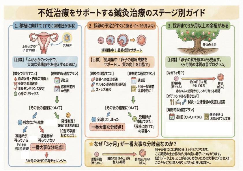 体外受精ロードマップ
